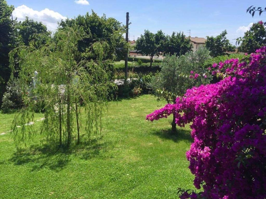 La Bouganville - Piscina E Relax Camaiore Εξωτερικό φωτογραφία